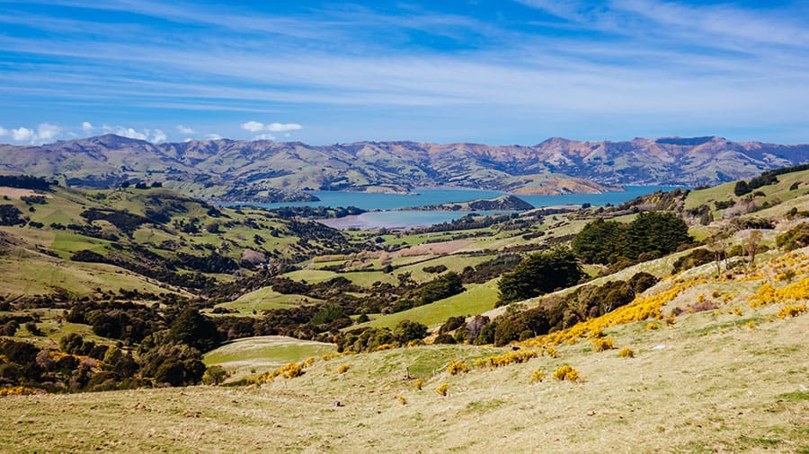 Banks Peninsula.