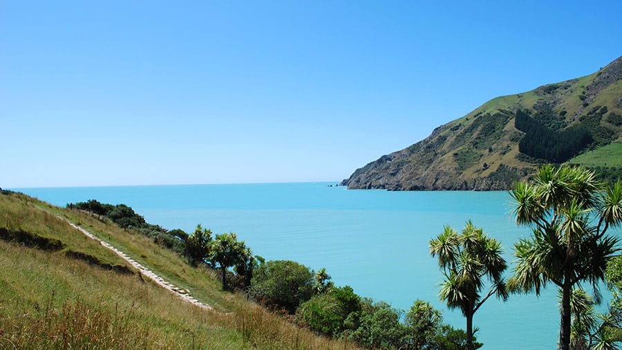 Cable Bay in Nelson.