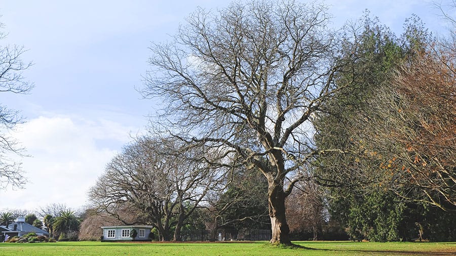 Hagley Park.