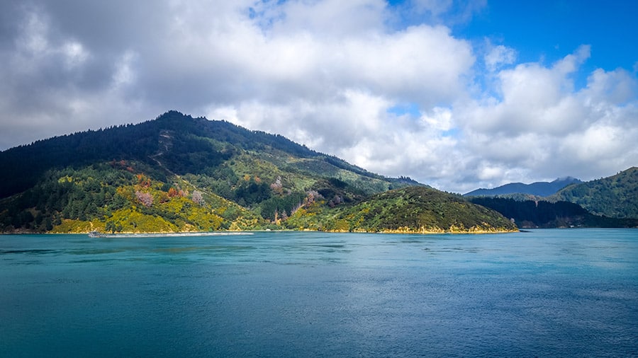 Marlborough Sounds.