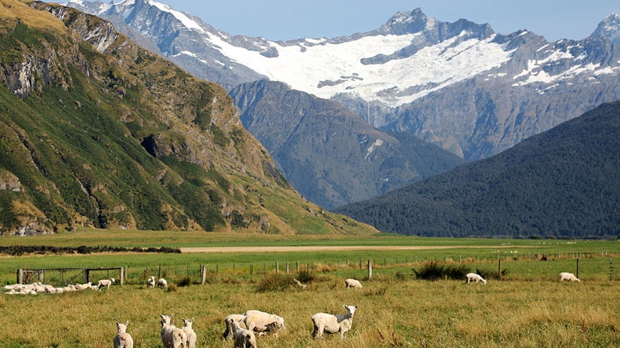 Mount Aspiring National Park.