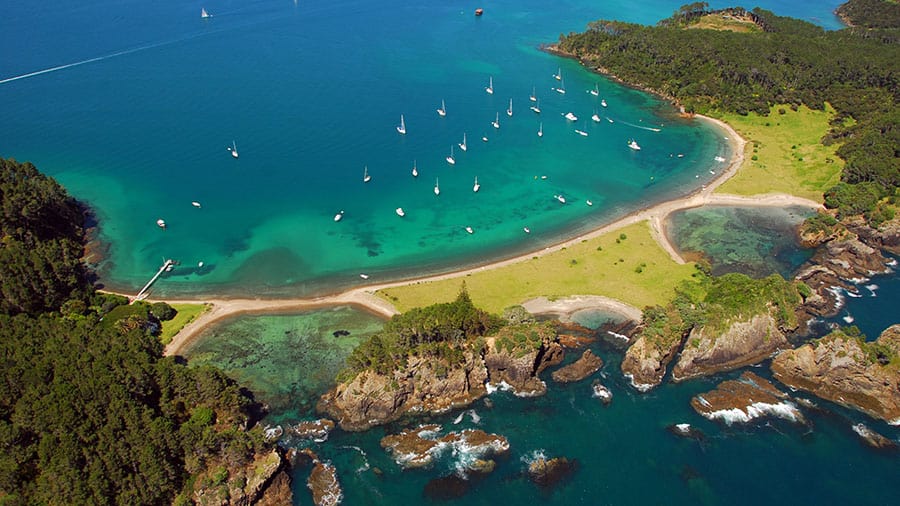 Roberton Island in the Bay of Islands.