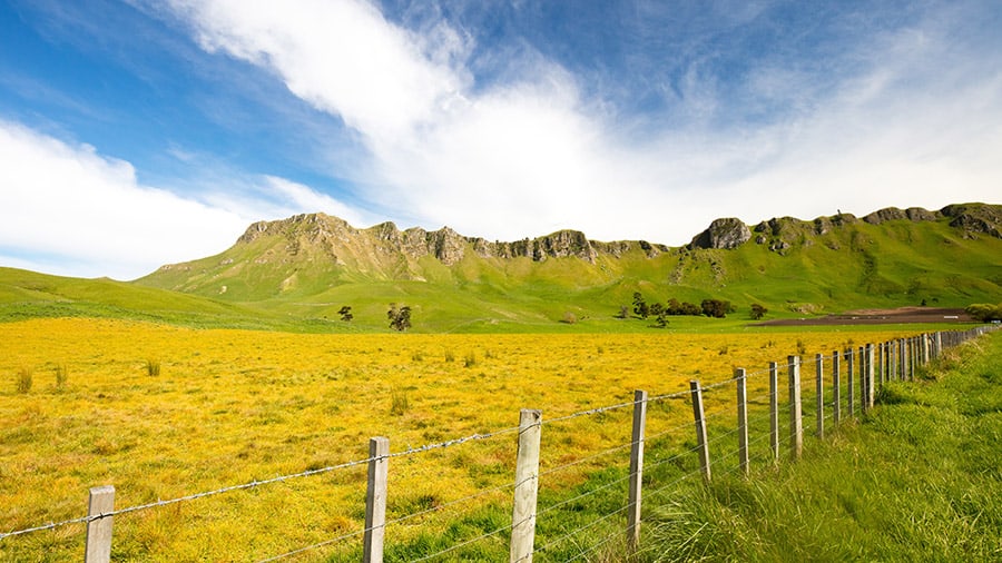 Te Mata Peak