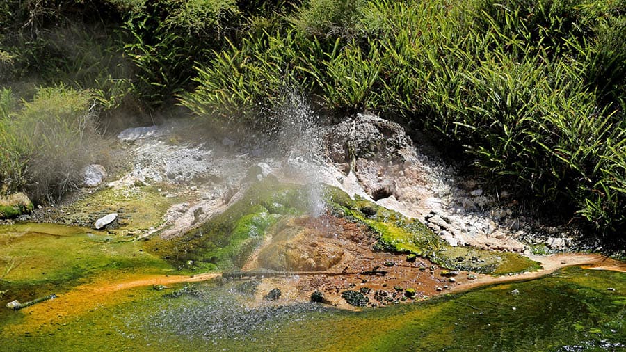 Waimangu Volcanic Valley.