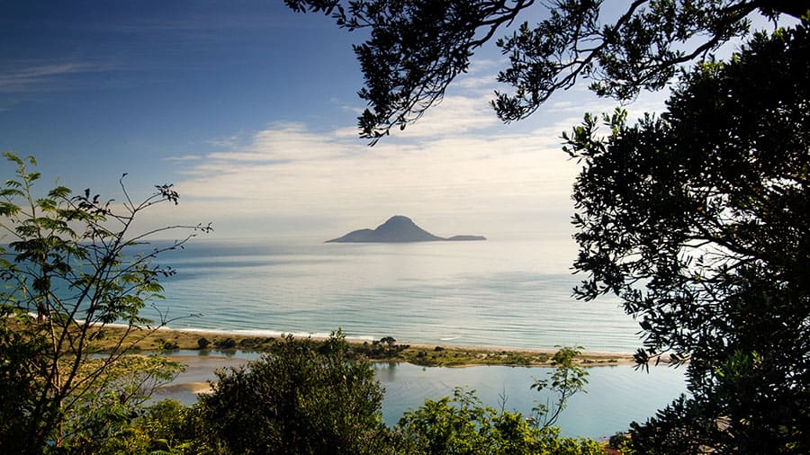 Whale Island New Zealand.